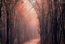 [CBA]常规赛12月25日：广东VS浙江 余嘉豪集锦.