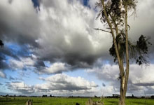 体坛名场面|是可忍孰不可忍!国乒异国客场遇到如此声音,我们用实力发出最掷地有声回应.