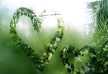 熊猫体育直播平台:林良铭爆头染红!黄健翔:判红牌也是规则范围内,是合理的.