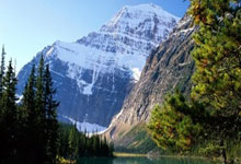 女朋友画的阿森纳腿板哈哈哈哈哈哈.