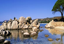 世锦赛中国女将2人TKO晋级 1人落败遭淘汰.